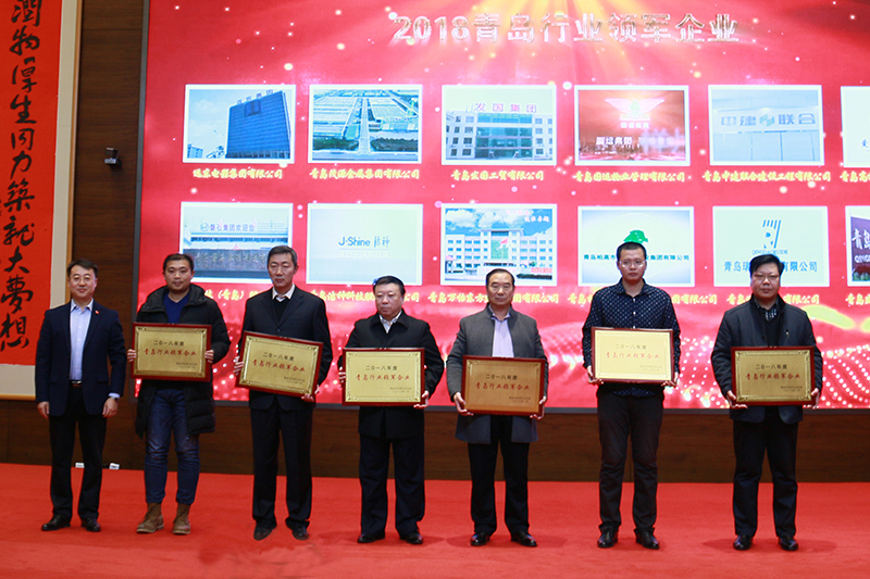 民營企業(yè)高質(zhì)量發(fā)展，德才集團再獲殊榮領(lǐng)跑民企(圖2)