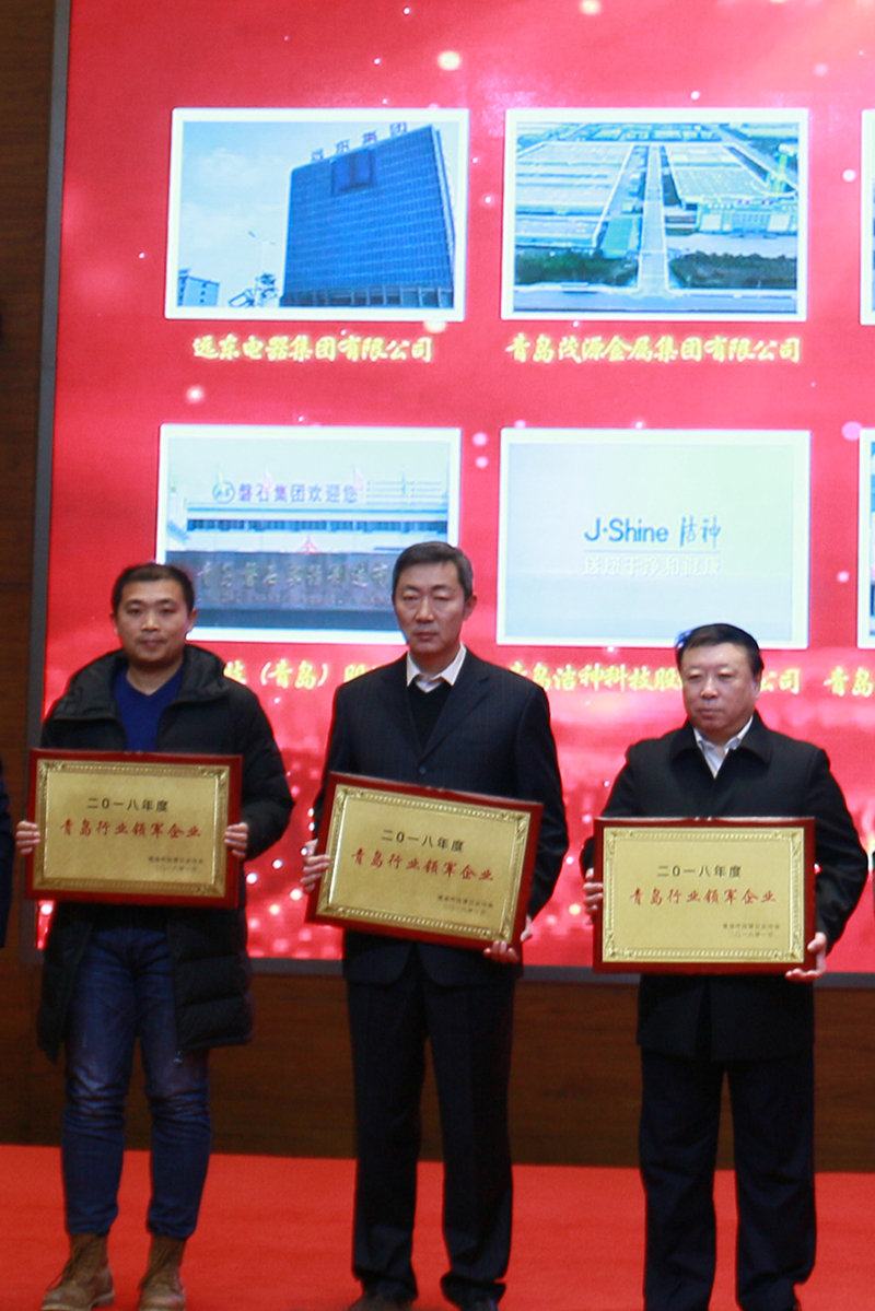 民營企業(yè)高質(zhì)量發(fā)展，德才集團再獲殊榮領(lǐng)跑民企(圖6)