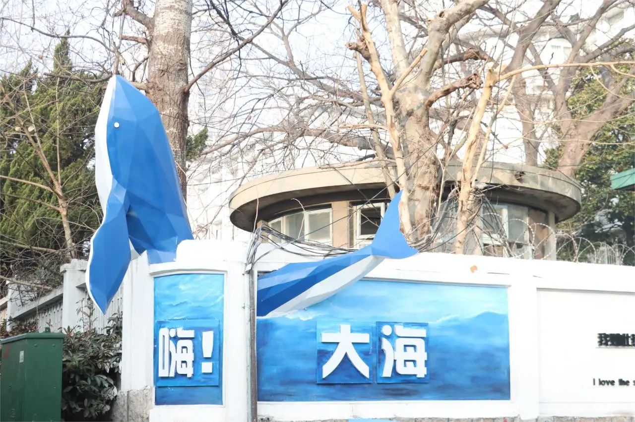 青島市城市更新和城市建設(shè)總指揮部對中建聯(lián)合市南區(qū)金湖路海洋特色街區(qū)項目開展觀摩(圖5)