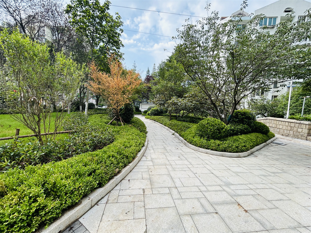 創(chuàng)新模式打造品質社區(qū)——青島市永嘉路二片區(qū)老舊小區(qū)改造項目(圖12)