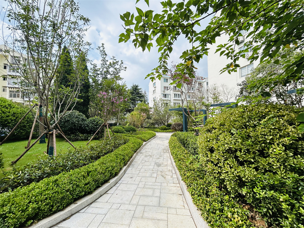 創(chuàng)新模式打造品質社區(qū)——青島市永嘉路二片區(qū)老舊小區(qū)改造項目(圖13)