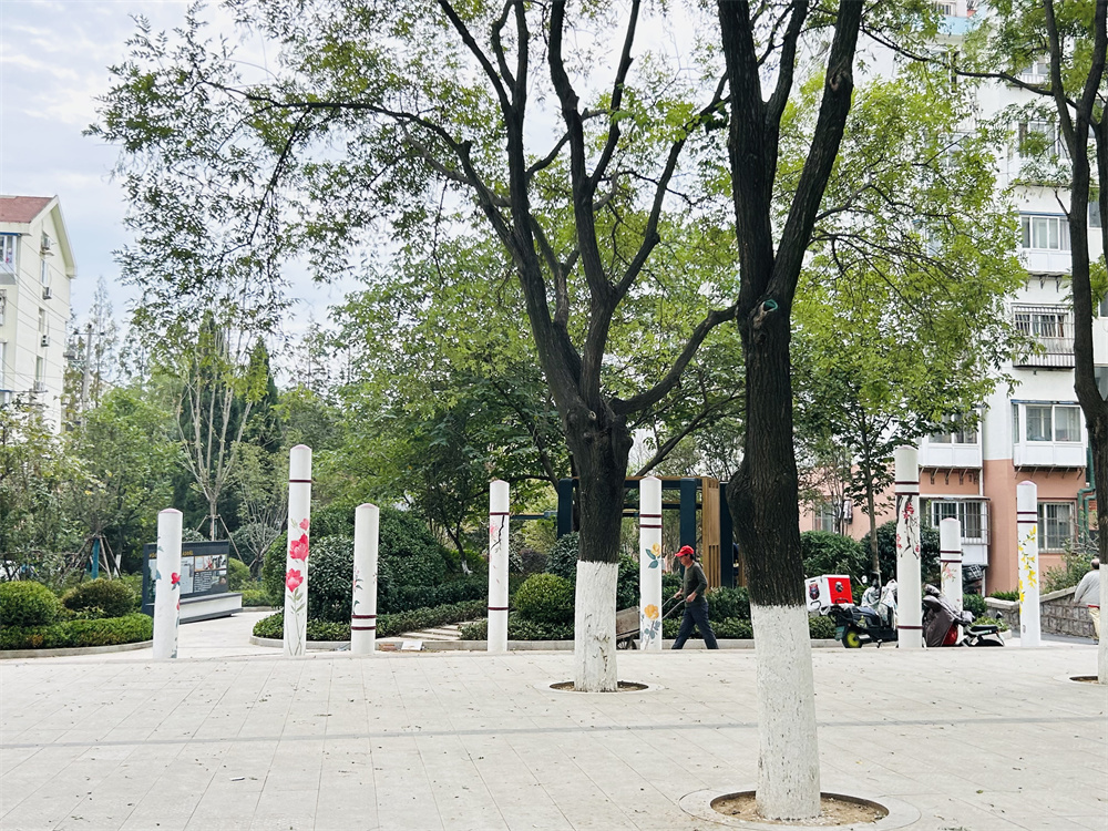 創(chuàng)新模式打造品質社區(qū)——青島市永嘉路二片區(qū)老舊小區(qū)改造項目(圖14)